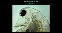 Desktop Screenshot of micromagus.net