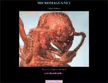 Tablet Screenshot of micromagus.net